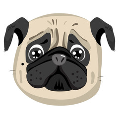 Cute sad little purebreed pug portrait avatar