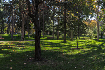 Retiro park in the city of Madrid