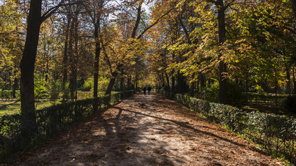 Retiro park in the city of Madrid