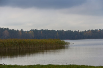 Tranquil lake with grass  and trees in autumn colors