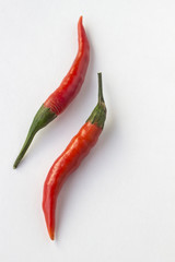 Two red chili peppers on white background. Top view. Vertically