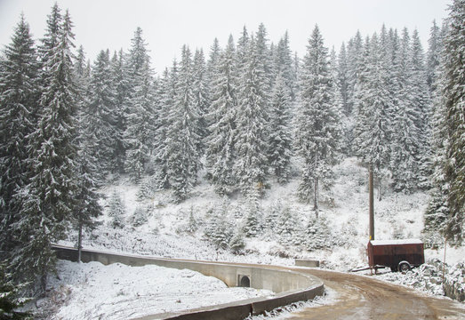 Abandoned Mountain Road In Pine Forest, Snow Strom