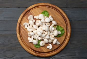 mushrooms on dark wooden background. top view with copy space