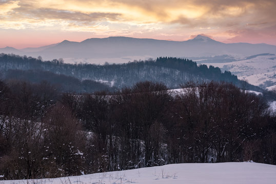 leafless forested hills at winter dawn. beautiful mountain ridge with high snowy peak in the distance. Carpathian area near Pikui mountain