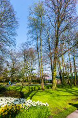 Springtime in the park