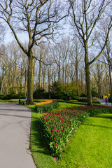 Springtime in the park