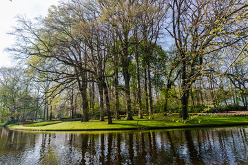 Springtime in the park