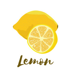 Lemon. Flat design. Vector illustration. Ripe fruits for Your ideas.