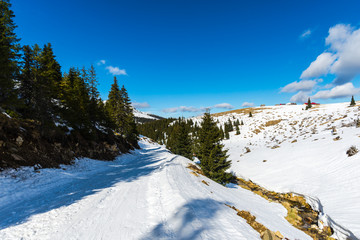 Fototapeta na wymiar Winter in carpathian mountains