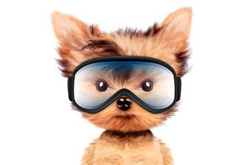 Funny Dog wearing ski goggles. Christmas concept