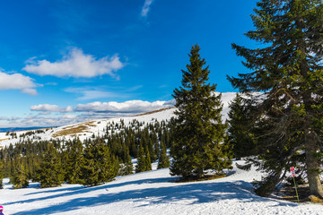 Obraz na płótnie Canvas Winter in carpathian mountains