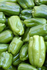 Obraz na płótnie Canvas ripe green peppers harvested