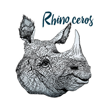 Color graphic vector - a rhinoceros head. Linear detailed illustration, isolated on background, for design.