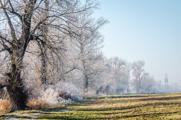 Panorama of the frozen lake and snow-covered trees