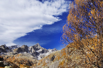 Autumn landscape in Adamello - Presanella Alpine Group, Italy, Europe