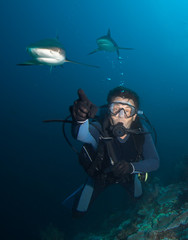 Diver shows up on sharks.