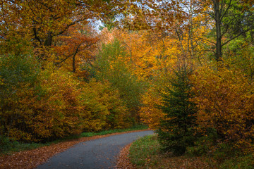 Nordhelle im Herbst