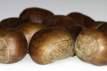 Fresh Uncooked Chestnuts in Isolation