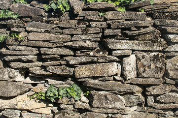 Old rural dry masonry stone wall with ivy plant closeup as background
