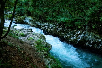 Radovna in der Vintgar Klamm, Podhom nahe Bled