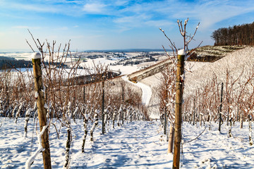 verschneite Weinberge