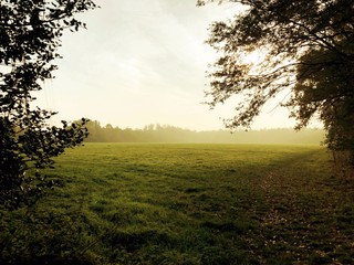 Fototapeta na wymiar Misty morning across the fields