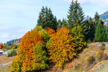 Fototapeta premium Autumn landscape in Colibita, Romania