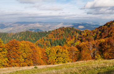 Fototapeta premium Yellow-orange colors of the autumn forest in the background of remote mountains. Autumn mountain landscape