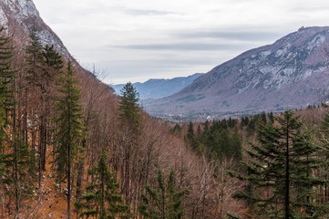 Panorama of the Bohinj lake valley in Slovenia