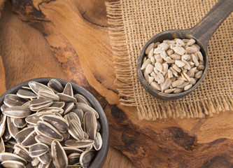 Sunflower seeds - Helianthus annuus