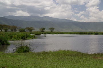 Ngorongoro Hippo Pool Panorama