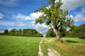 Saarland – Natur Landschaft mit Wanderweg und Feldhecke bei Kleinblittersdorf