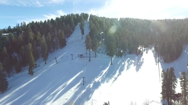 Mont Lemmon Arizona monta&ntilde;as pinos