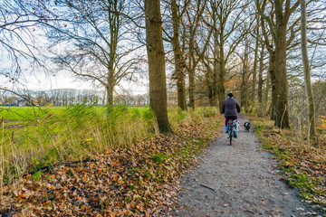 Obraz premium Biking the dog