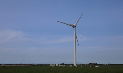 wind turbine for the production of clean non-polluting renewable