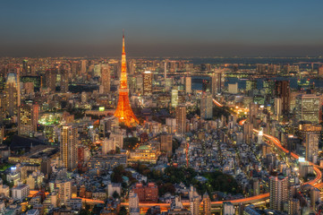 Tokyo Skyline, Japan