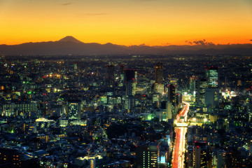 Fototapeta premium Tokyo Skyline, Japan