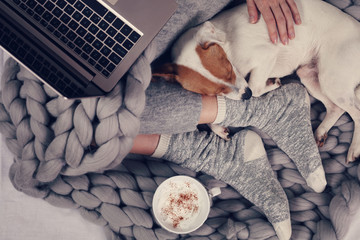Woman in cozy home clothes relaxing at home with sleeping dog Jack Russel Terrier, drinking cacao,...