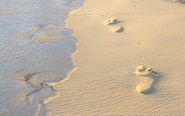 Fototapeta na wymiar Traces on the sand.