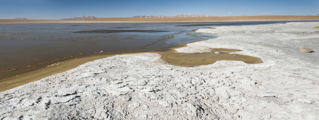 Laguna Kollpa Kkota (Collpa Laguna), Sud Lípez Province, Potosí Department, Bolivia 