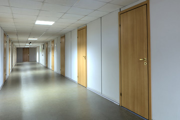 Long office hallway with a lot of yellow wooden doors.