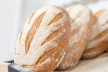 Loafs of warm tasty freshly baked bread in a bakery shop or market