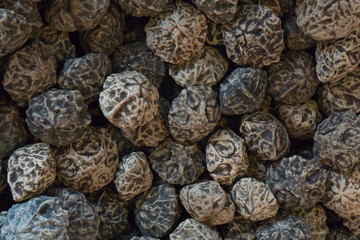 Dracontomelon dao (Blanco) Merr. & Rolfe)