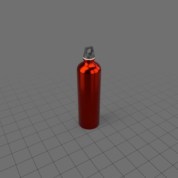 Metal water bottle 1