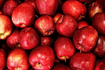 apples 