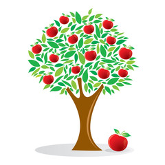 Apple tree, Fruit tree,  vector illustration