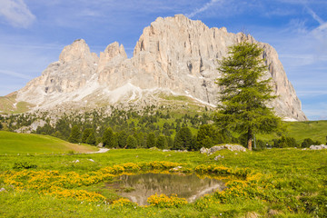 Dolomites, Sassolungo mountain, Sella pass, Trentino Alto Adige, Sud Tirol, Italy