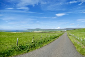 Country road grassy field