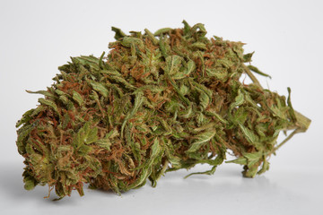 Fototapeta na wymiar Close up of prescription medical marijuana Indica strain Purgatory flower isolated on white background