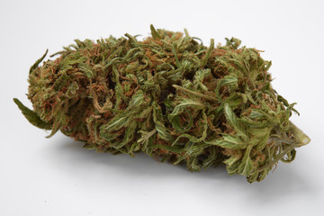 Close up of prescription medical marijuana Indica strain Purgatory flower isolated on white background